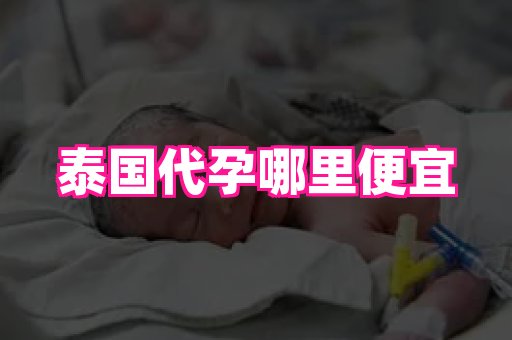 gfg孕网 1